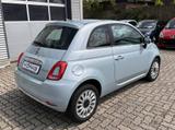 Fiat 500 MY22 1.0 Dolcevita Klima Glasdach - Fiat 500: Glasdach