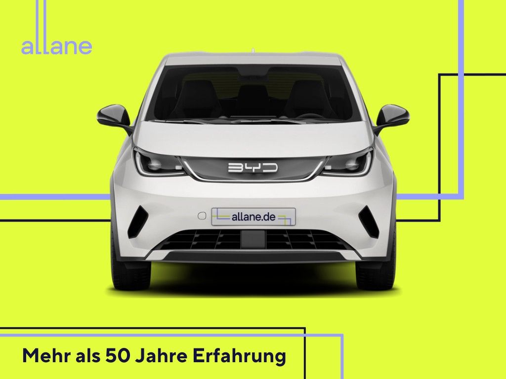 BYD DOLPHIN - Bild 4