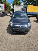Fiat Punto Evo Dynamic - aus 2009: Kleinwagen