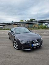 Audi A5 2.0 TFSI S tronic quattro Sportback - - Audi A5 aus 2009: Sportback