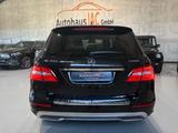 Mercedes-Benz ML 350/AMG/PANO/SITZBELÜFTUNG/AHK/RFK/XENON - Mercedes-Benz ML 350 mit Benzin-Antrieb