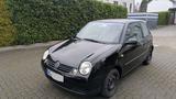 Volkswagen Lupo 1.4 44kW Comfortline mit TÜV - Volkswagen Lupo: Comfortline
