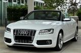 Audi S5 3.0 TFSI Cabriolet quattro B&O, Top Zustand  - Audi S5 aus 2010: Cabrio