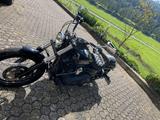 Harley-Davidson Street Bob (USA) Thunderbike - Angebote entsprechen deinen Suchkriterien