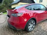 Tesla Model Y Hinterradantrieb RWD RWD - Tesla Model Y: Rot