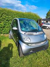 Smart Fortwo mit panoramadach - Smart Gebrauchtwagen in Braunschweig