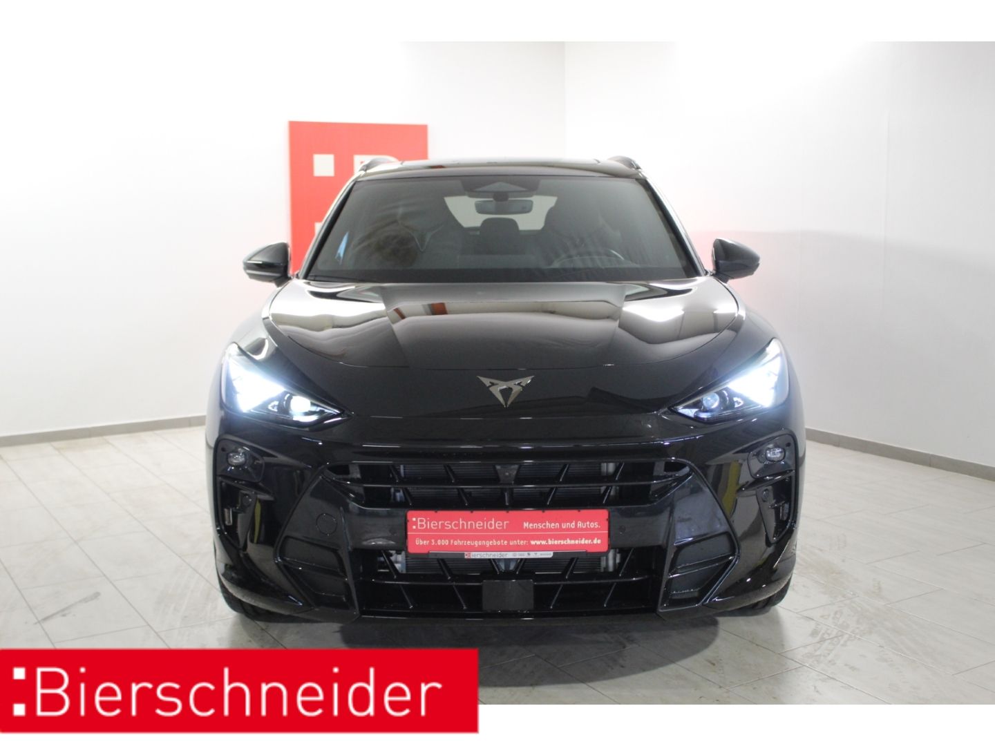 Cupra Terramar - Bild 3