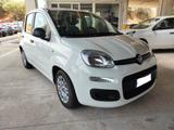 Fiat Panda 1.0 Hybrid Easy PREZZO AFFARE - Fiat Panda EASY mit Hybrid-Antrieb (Benzin/Elektro)