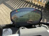 Ducati MONSTER 821 DARK   TOP ANGEBOT - DUCATI MONSTER DARK