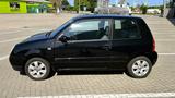 Volkswagen VW Lupo Cambridge 1,0 L 50 PS 163000Km TÜV... - Volkswagen Lupo in Duisburg