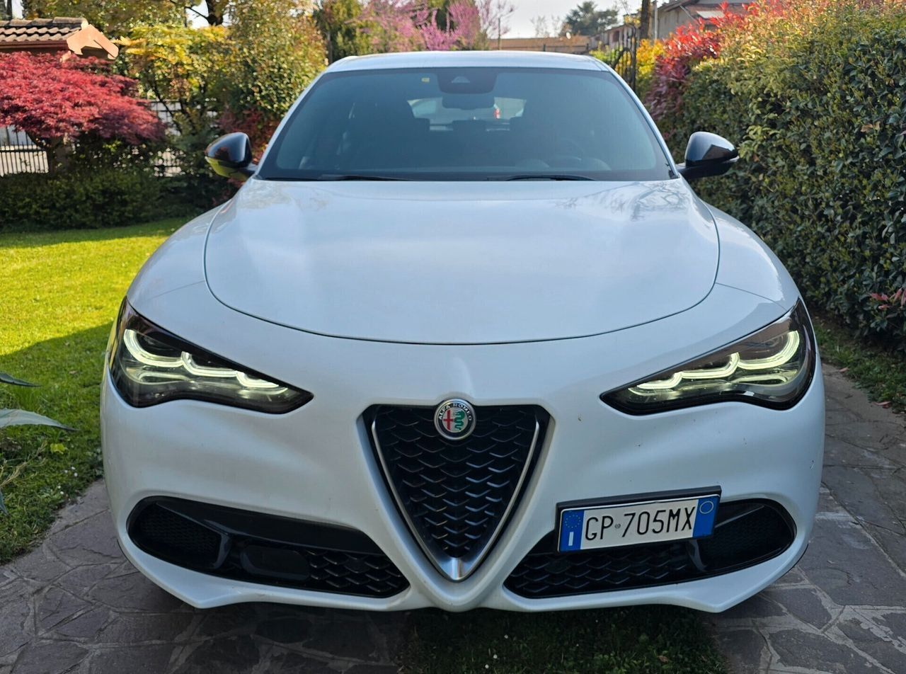 Other Alfa Romeo Stelvio 2.2 Turbodiesel 210 CV AT8 Q4