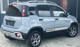 Fiat Panda Cross 4x4 Modagrau, Anhängekupplung - Fiat Panda Gebrauchtwagen