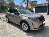 Land Rover Discovery Sport D200 AWD Aut R-DYN WiP ESitz AHK - Land Rover: Beige
