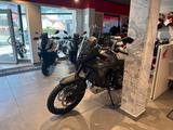 Honda XL750 Transalp E-Clutch *Tageszulassung 06-26* - HONDA 750