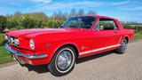 Ford Mustang V8 Coupe, GT, Pony, Servo, ESD, TOP! - Ford Mustang: Limousine