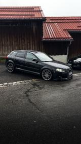 Audi A3 8P 2.0TDI Quattro - Audi A3 8P mit Diesel-Antrieb