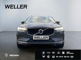 Volvo XC60 D4 Geartronic Momentum Pro *LED*AHK*360°*SH - Volvo: X