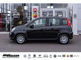 Fiat Panda Hybrid 1.0 GSE NEUES MODELL 2024 CITY TEMP - Fiat Panda Vorführfahrzeuge