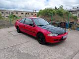 Honda Civic Coupe (USA) 1.5l - gebrauchte Honda Civic aus dem Jahr 1995