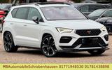 Cupra Ateca Basis 4Drive - Cupra Ateca aus 2021