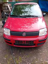 Fiat Panda - Fiat Panda Gebrauchtwagen in Bremen