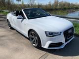 Audi A5 2.0 TDI 140kW multitr. Cab. - - Audi A5 mit Diesel-Antrieb: Cabrio, 2.0