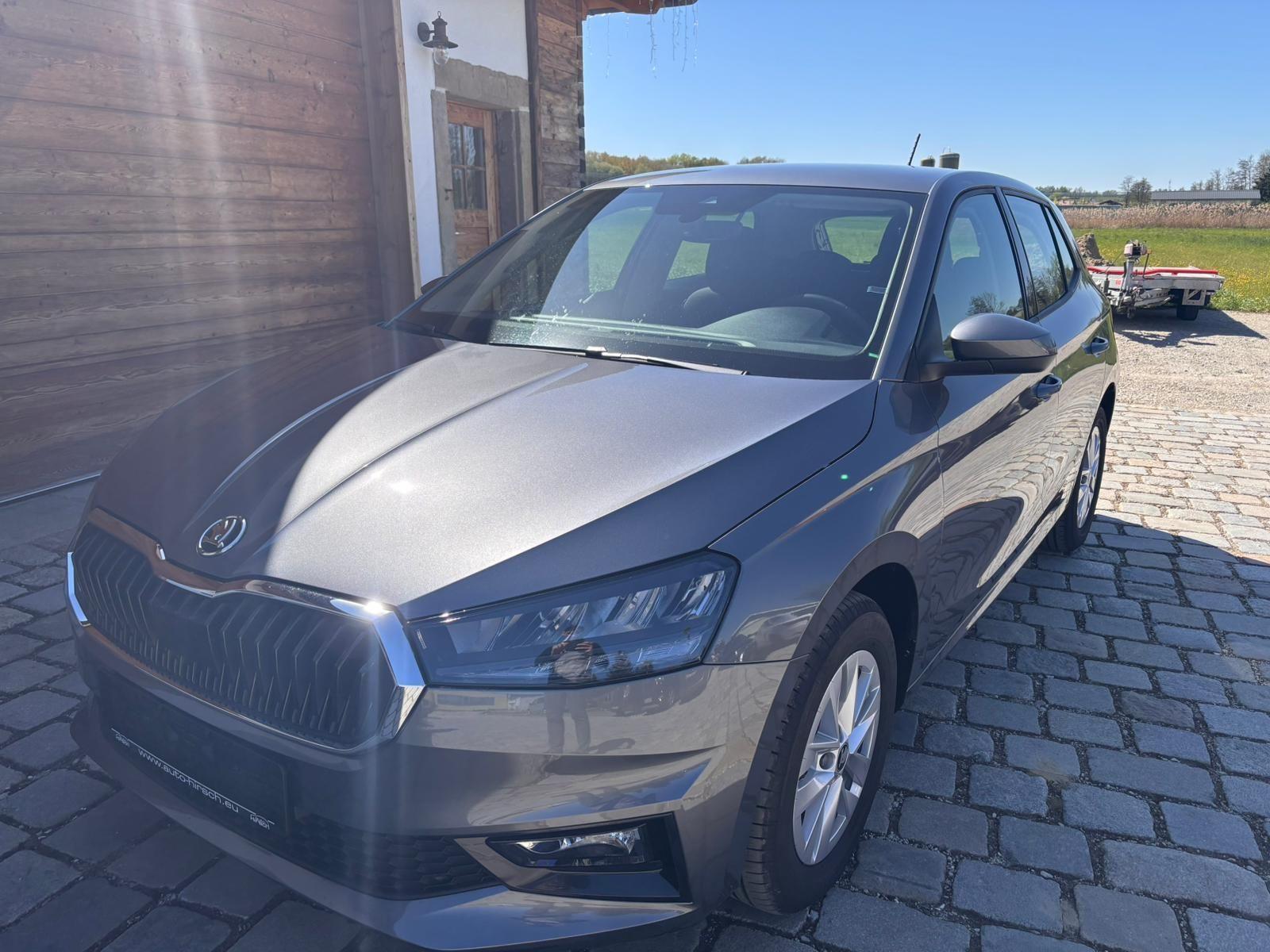 Skoda Fabia 1.0 TSI  DSG Alu RFK LED MirrorLi.
