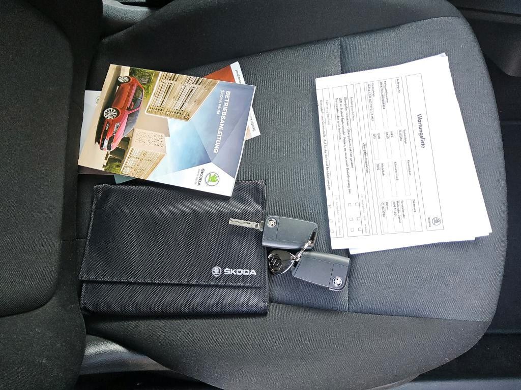 Fahrzeugabbildung SKODA Fabia Combi ALU16`PDC NEBEL APP-CONNECT 1.H