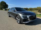 Audi SQ8 TDI quattro tiptronic B&O Matrix AHK Pano  - Audi SQ8 von privat