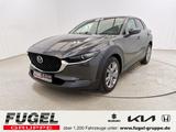 Mazda CX-30 2.0 SkYACTIV Hybrid Design-Paket ACC|Navi| - Mazda Gebrauchtwagen in Chemnitz
