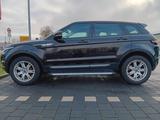Land Rover Range Rover Evoque 2.2 SD4 Pure Pure - Land Rover Gebrauchtwagen von 2013