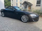 Jaguar XK 5.0 V8 Cabriolet Portfolio - Jaguar XK8 von privat