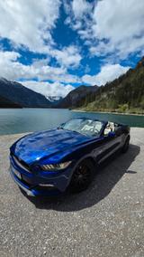 Ford Mustang 5.0 Ti-VCT V8 GT  Cabrio neu TÜV  - gebrauchte Ford Roadster