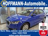 Skoda Fabia Selection Klima,LED,Sitzhzg,PDC,Kamera,NSW