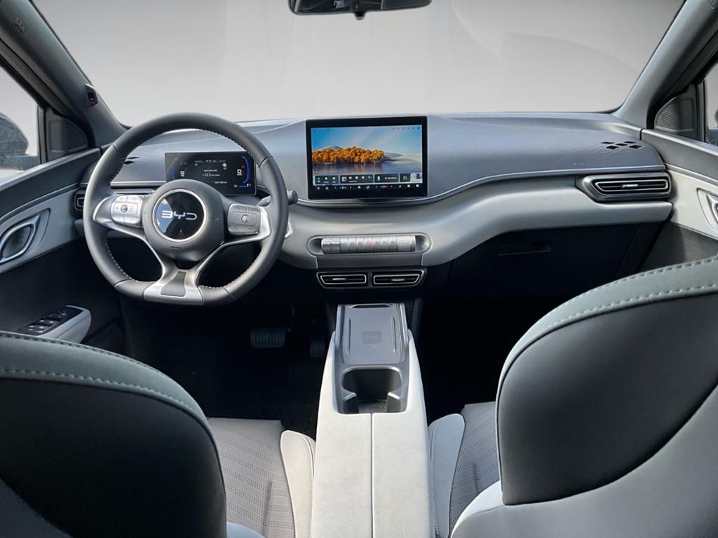 BYD DOLPHIN SURF