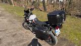 Triumph Tiger 900 Rally Pro - Triumph Tiger 900 Rally Pro