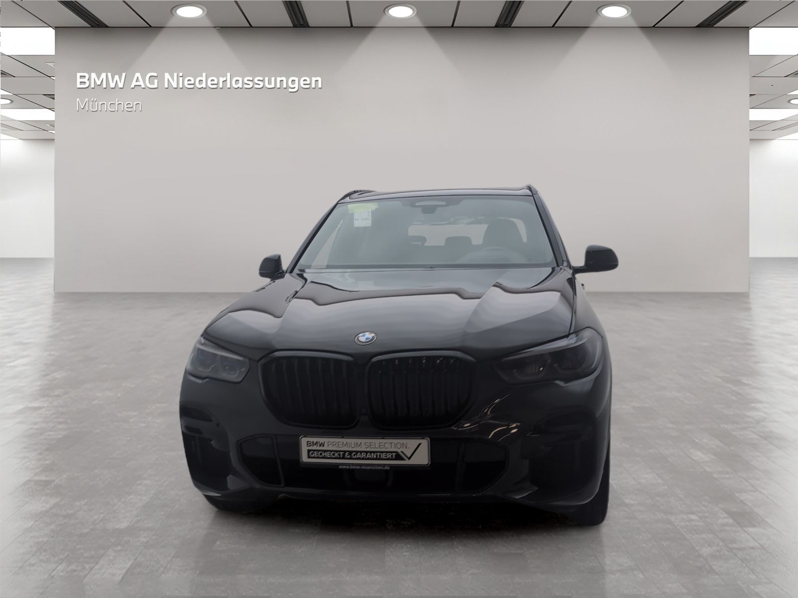 BMW X5 xDrive40d M Sport Standheizung AHK Harman K foto 3