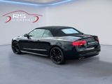 Audi S5 Cabriolet 3.0 TFSI - Audi S5 mit Benzin-Antrieb: Cabrio, 3.0