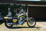 Kawasaki VN 800 - KAWASAKI 1995
