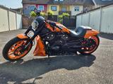 Harley-Davidson  Night-Rod Special VRSCDX - Offers matching your search criteria
