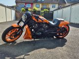 Harley-Davidson  Night-Rod Special VRSCDX - Offers matching your search criteria