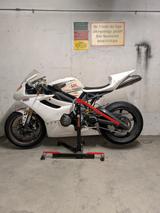 Triumph Daytona 675 - TRIUMPH DAYTONA 675