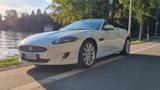 Jaguar XK 5.0 V8 Cabriolet - - gebrauchte Jaguar Roadster