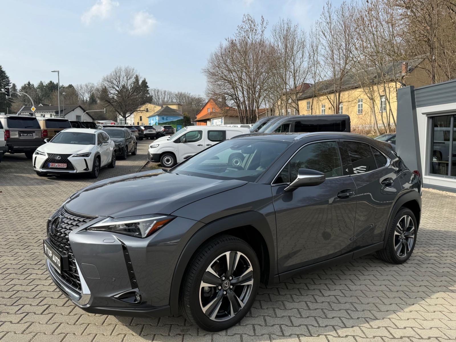 Lexus UX 250 h Style.LED.ACC.Kamera.