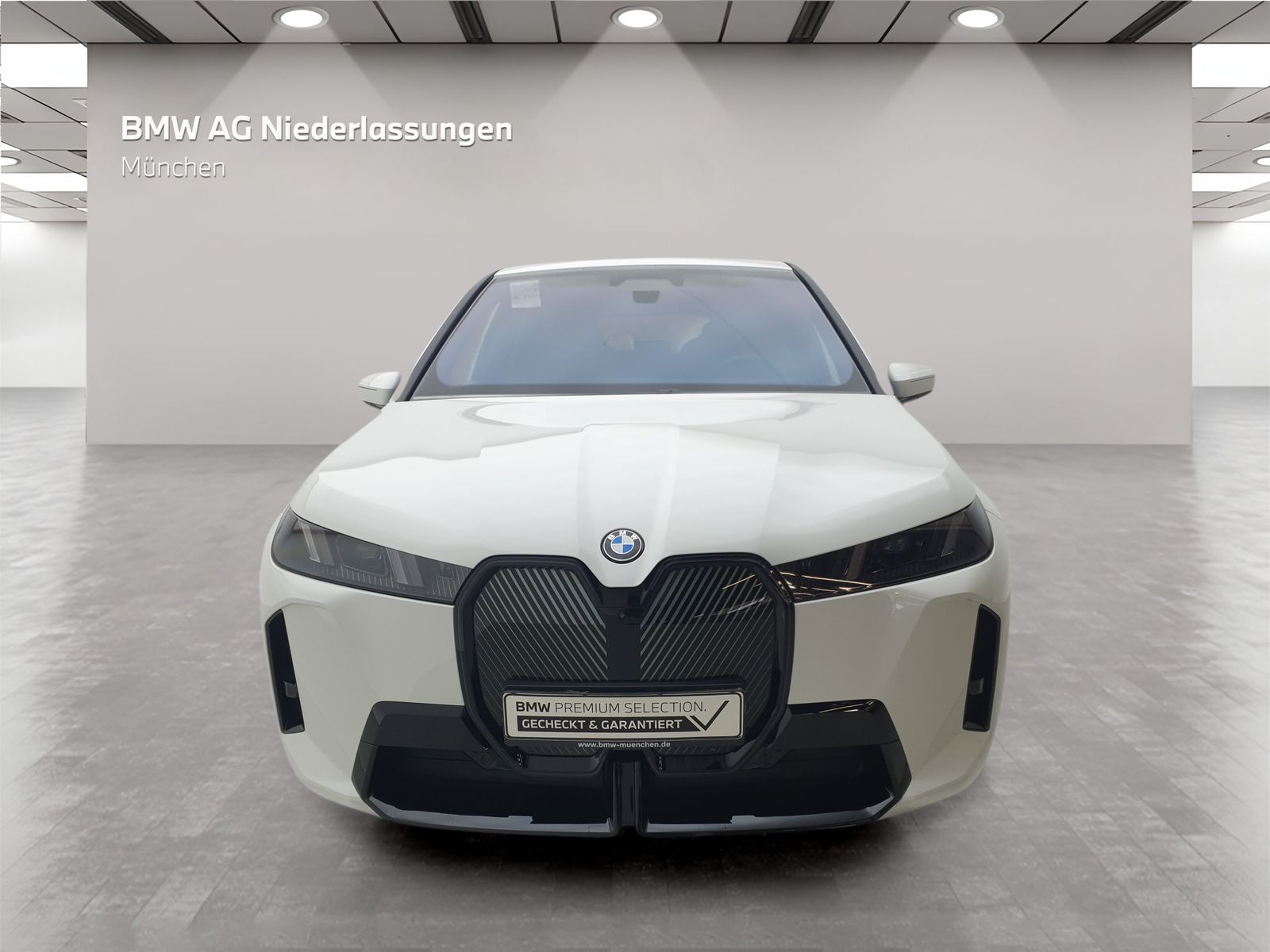 BMW iX xDrive60 M Sport AHK Driv.Assist.Prof Kamera foto 4
