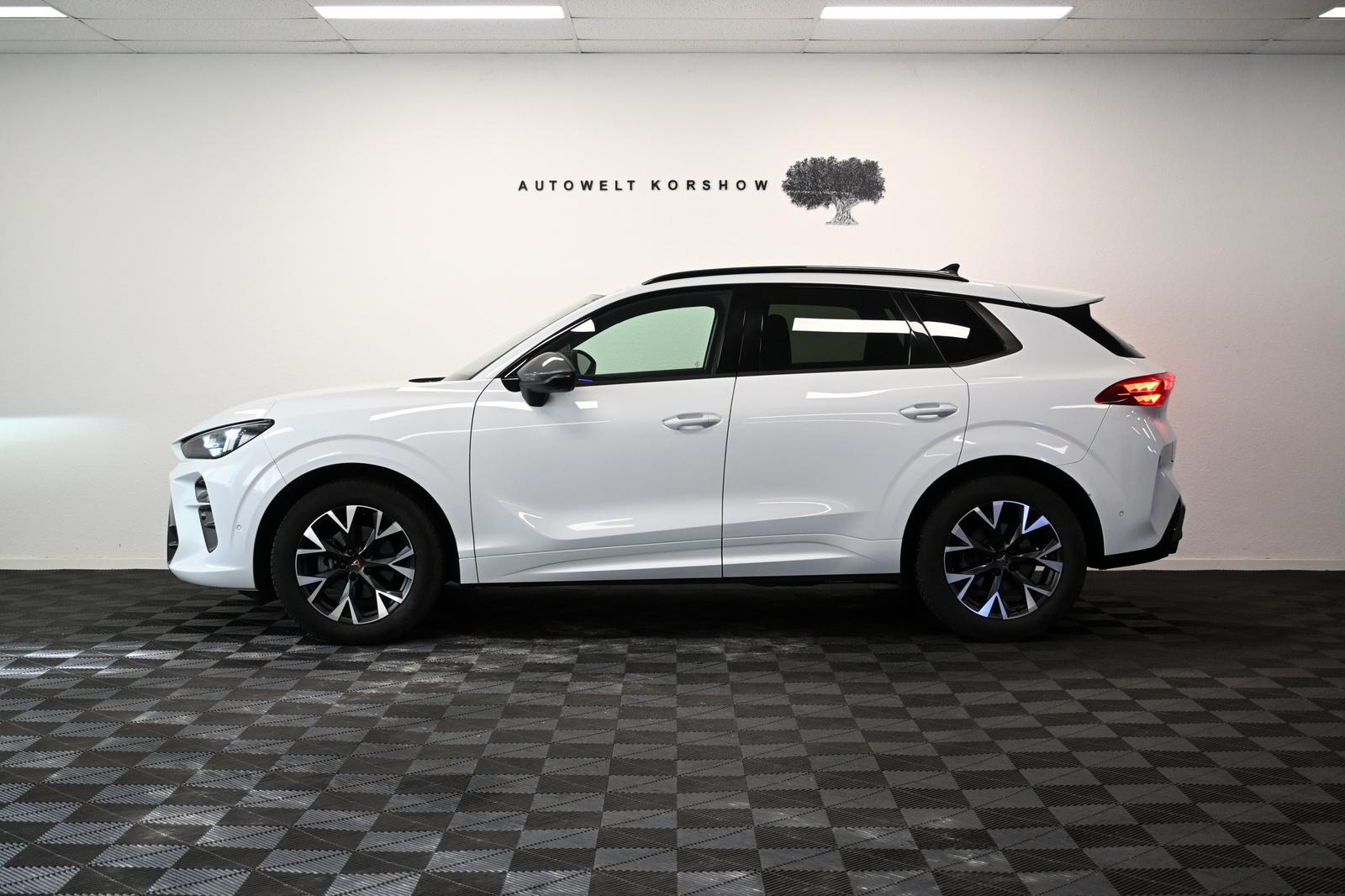 Cupra Terramarr *KEYLESS*MEMORY*LED*HEAD-UP*360°KAMERA