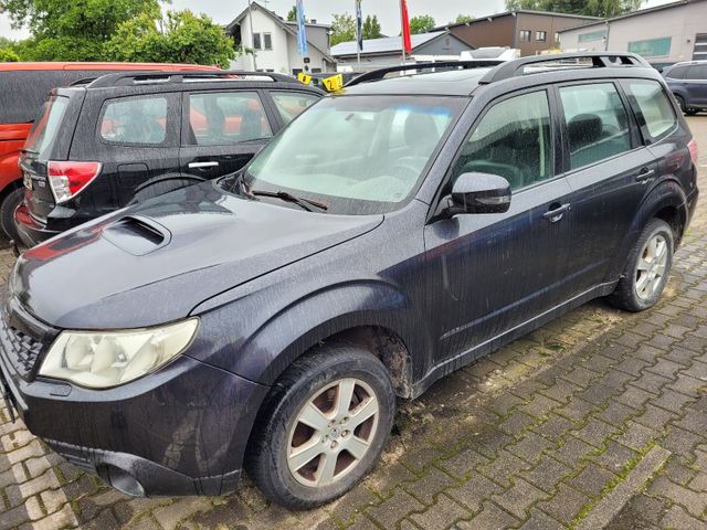 Subaru Forester Exclusive