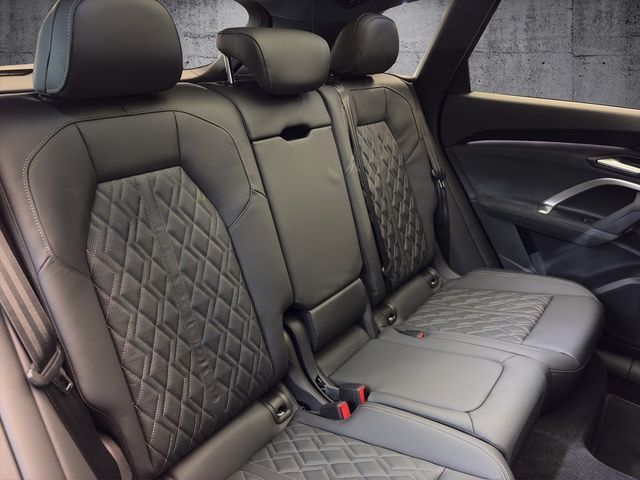 Audi SQ5 - Bild 10