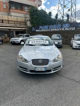 Jaguar XF 3.0 D V6 AUTOMATICA EURO 5 - silberne Jaguar XF