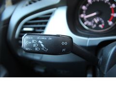 Fahrzeugabbildung Skoda Fabia Ambition*Monte Carlo Look!*Winterpaket*PDC